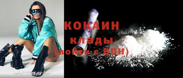 хмурый Алзамай