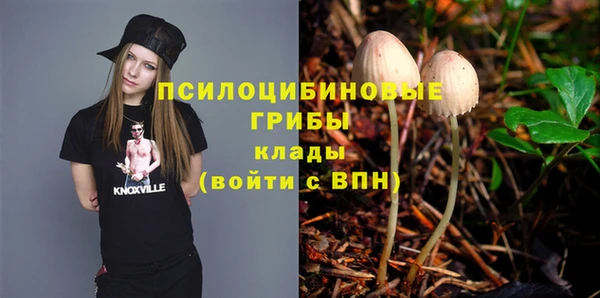 ALPHA-PVP Алексеевка